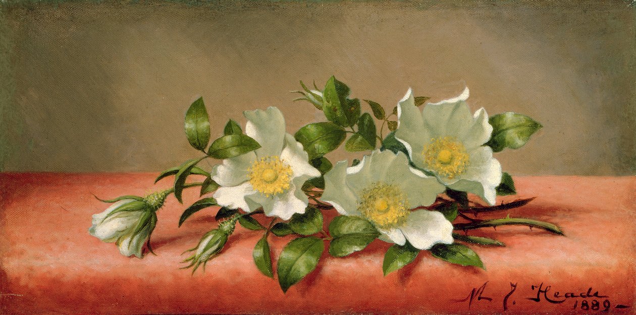 Cherokee Roses, 1889 tekijältä Martin Johnson Heade
