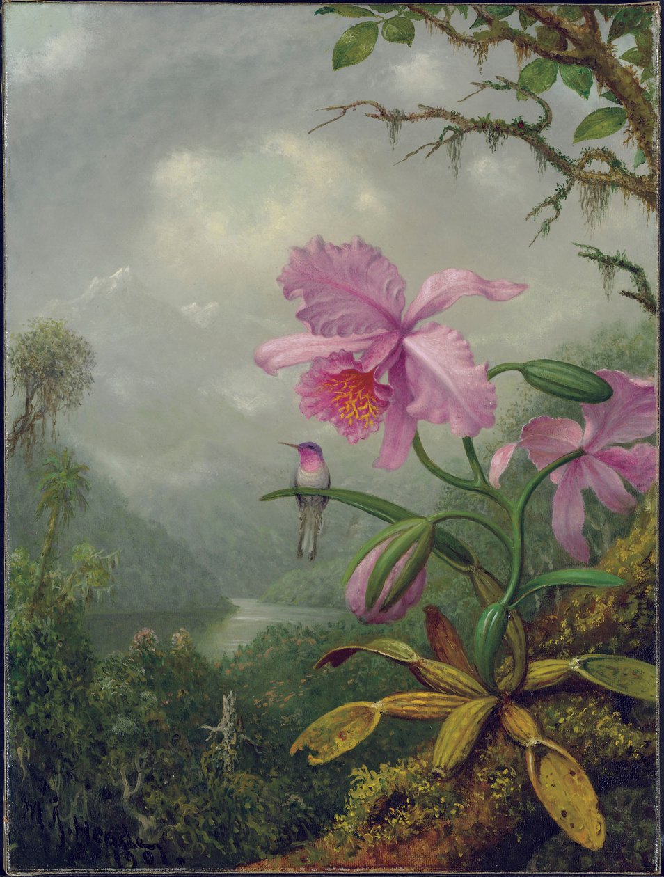 Hummingbird istui orkideakasvin päällä, 1901 tekijältä Martin Johnson Heade