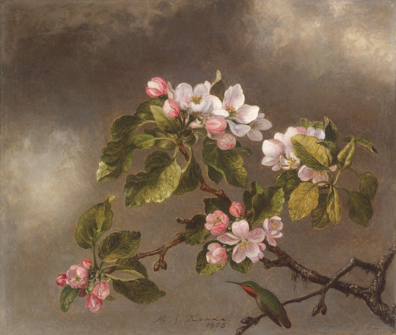 Kolibri ja omenankukkia, 1875 tekijältä Martin Johnson Heade