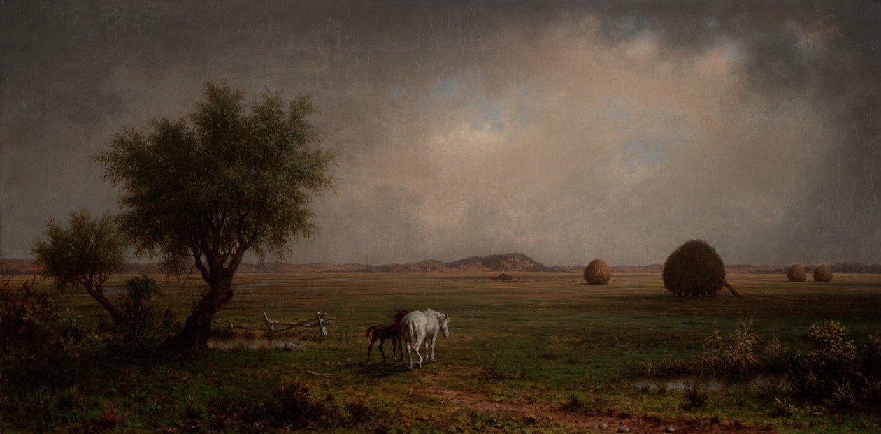Tamma ja varsa suolla tekijältä Martin Johnson Heade