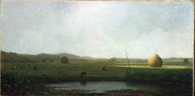 Suokohtaus: Karja lähellä heinäsatulaa (öljy kankaalle) tekijältä Martin Johnson Heade