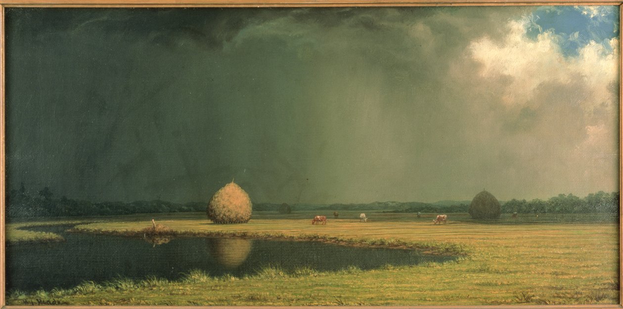 Suolasuon heinää, noin 1865 (öljy kankaalle) tekijältä Martin Johnson Heade