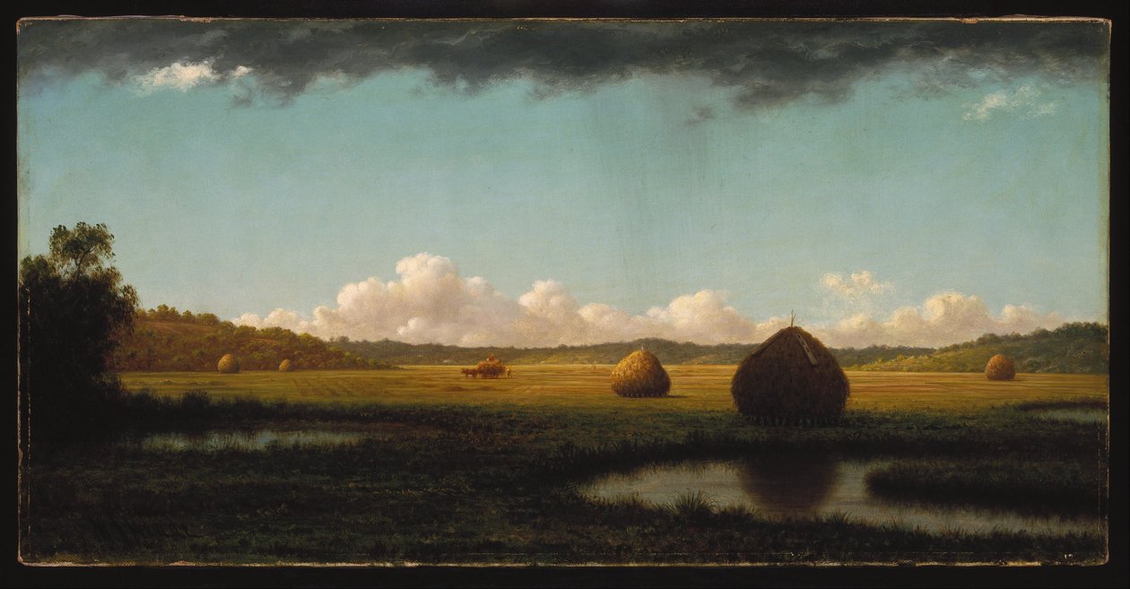 Kesäsateet tekijältä Martin Johnson Heade