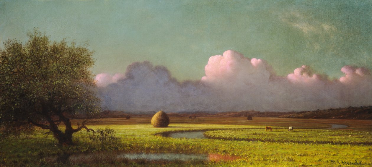 Auringonvalo ja varjo: Newburyn suistoalueet tekijältä Martin Johnson Heade