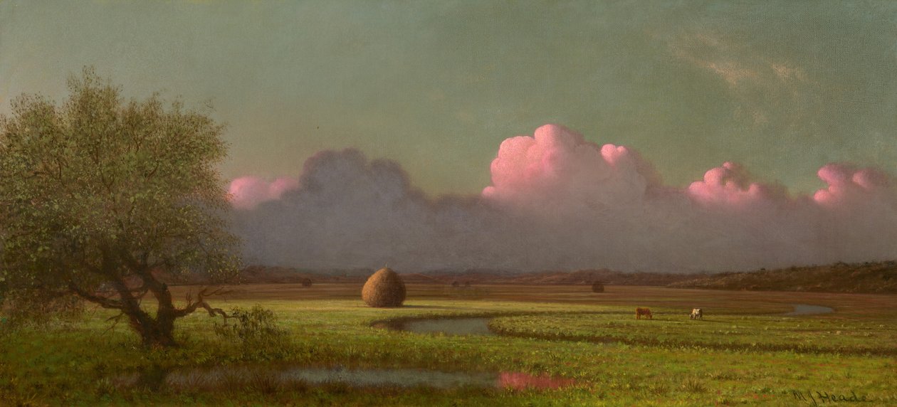 Auringonvalo ja varjo: Newburyn suot tekijältä Martin Johnson Heade