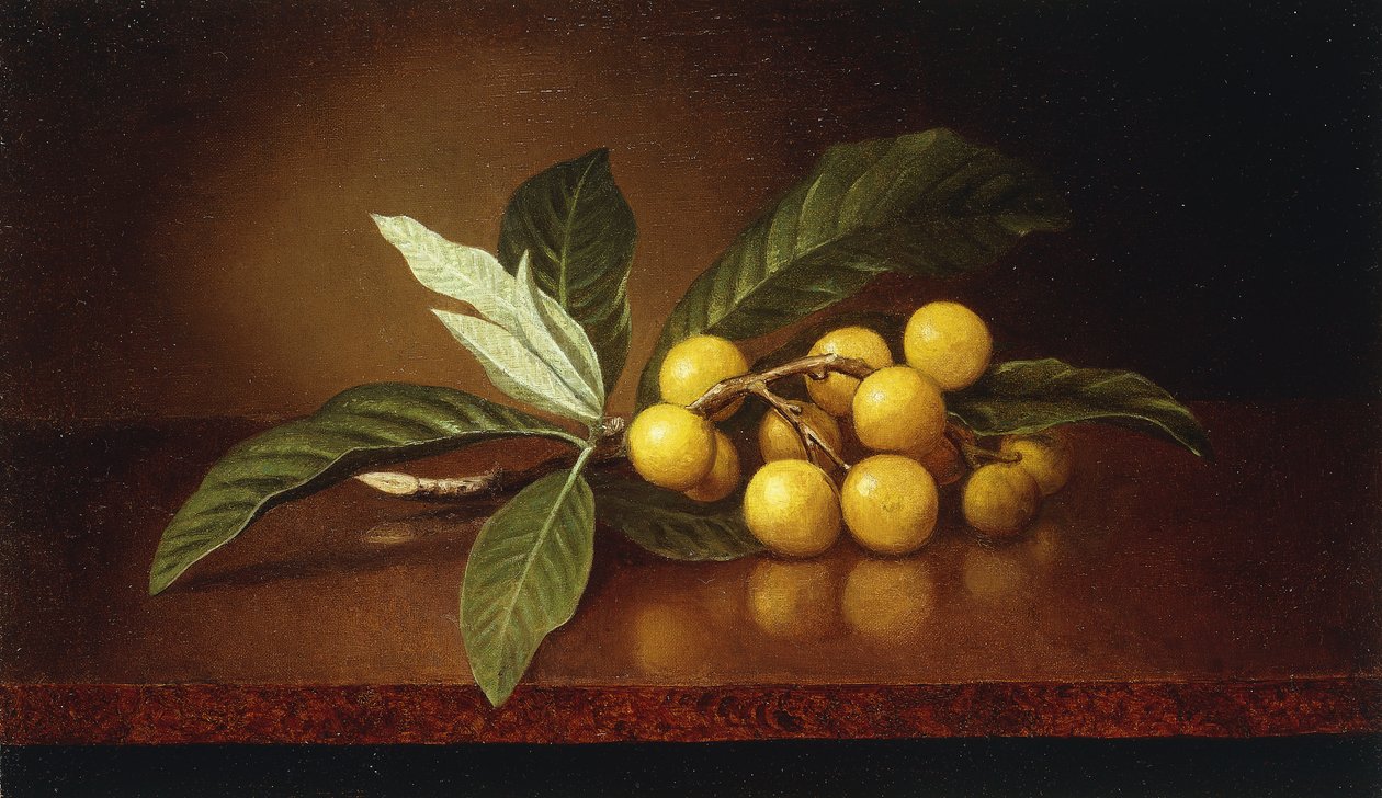 Trooppiset luumut, tekijältä Martin Johnson Heade