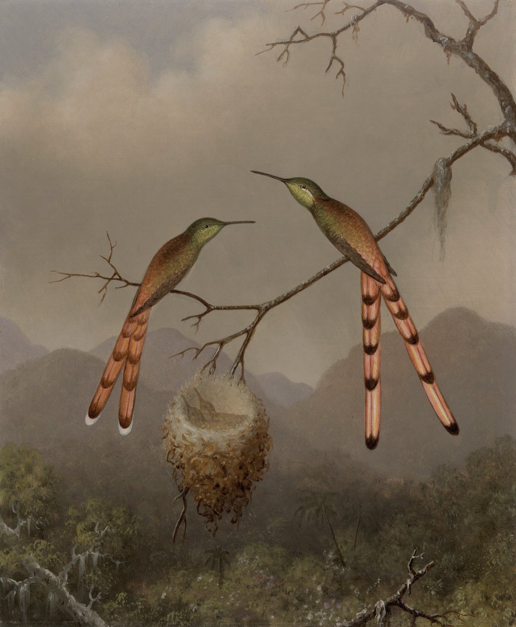 Kaksi Hummingbirdiä poikasten kanssa tekijältä Martin Johnson Heade