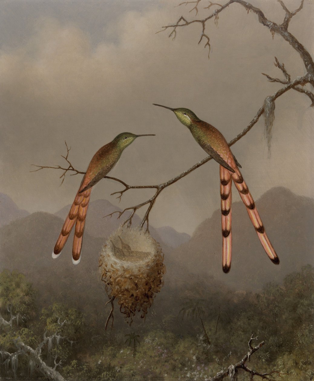 Kaksi kolibria poikasineen tekijältä Martin Johnson Heade