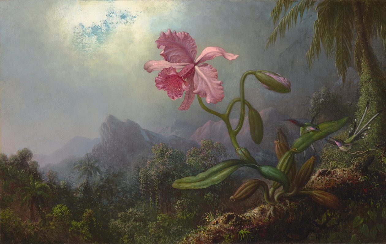 Kaksi kolibria ja orkidea 1875 (Öljy kankaalle) tekijältä Martin Johnson Heade