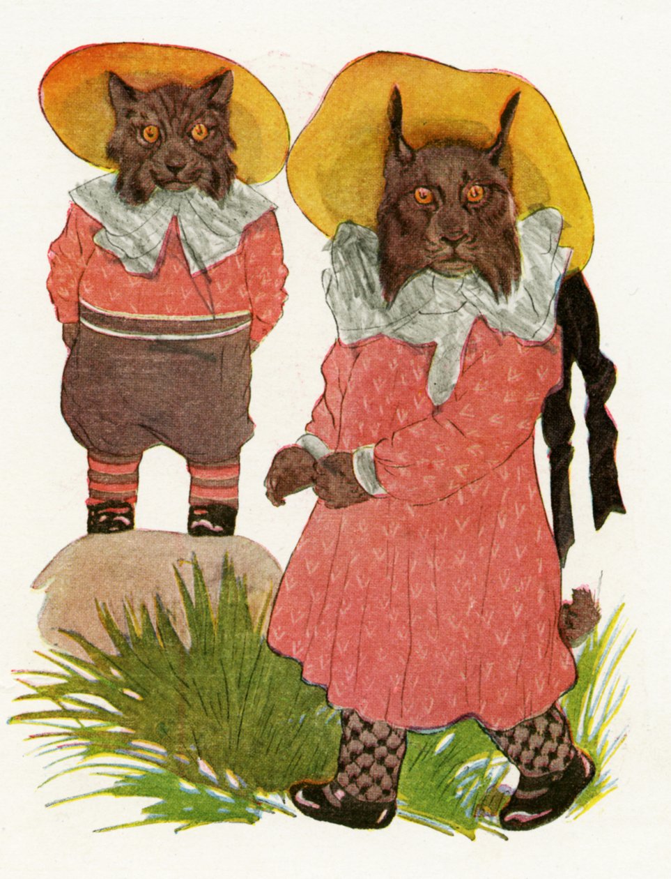 Bobcat ja Kanadan Ilves, 1913 tekijältä Martin Ross