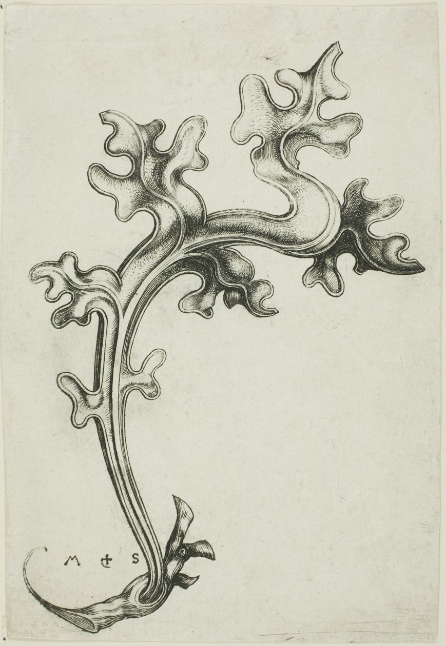 Leaf koriste tekijältä Martin Schongauer