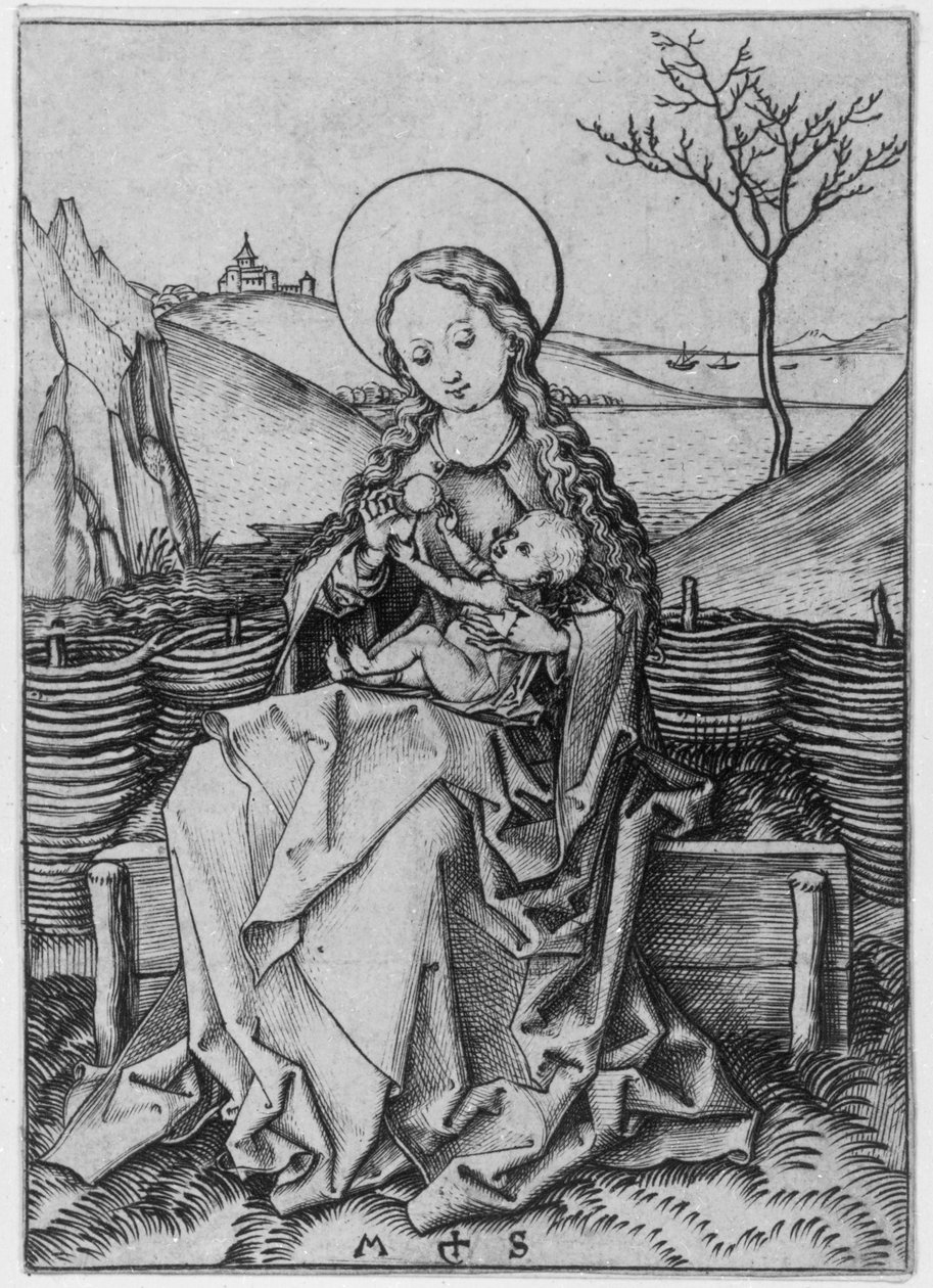 Madonna ruohopenkillä tekijältä Martin Schongauer