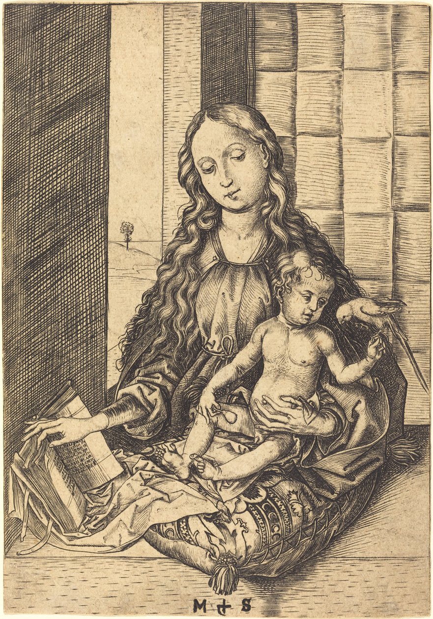 Madonna papukaijan kanssa tekijältä Martin Schongauer