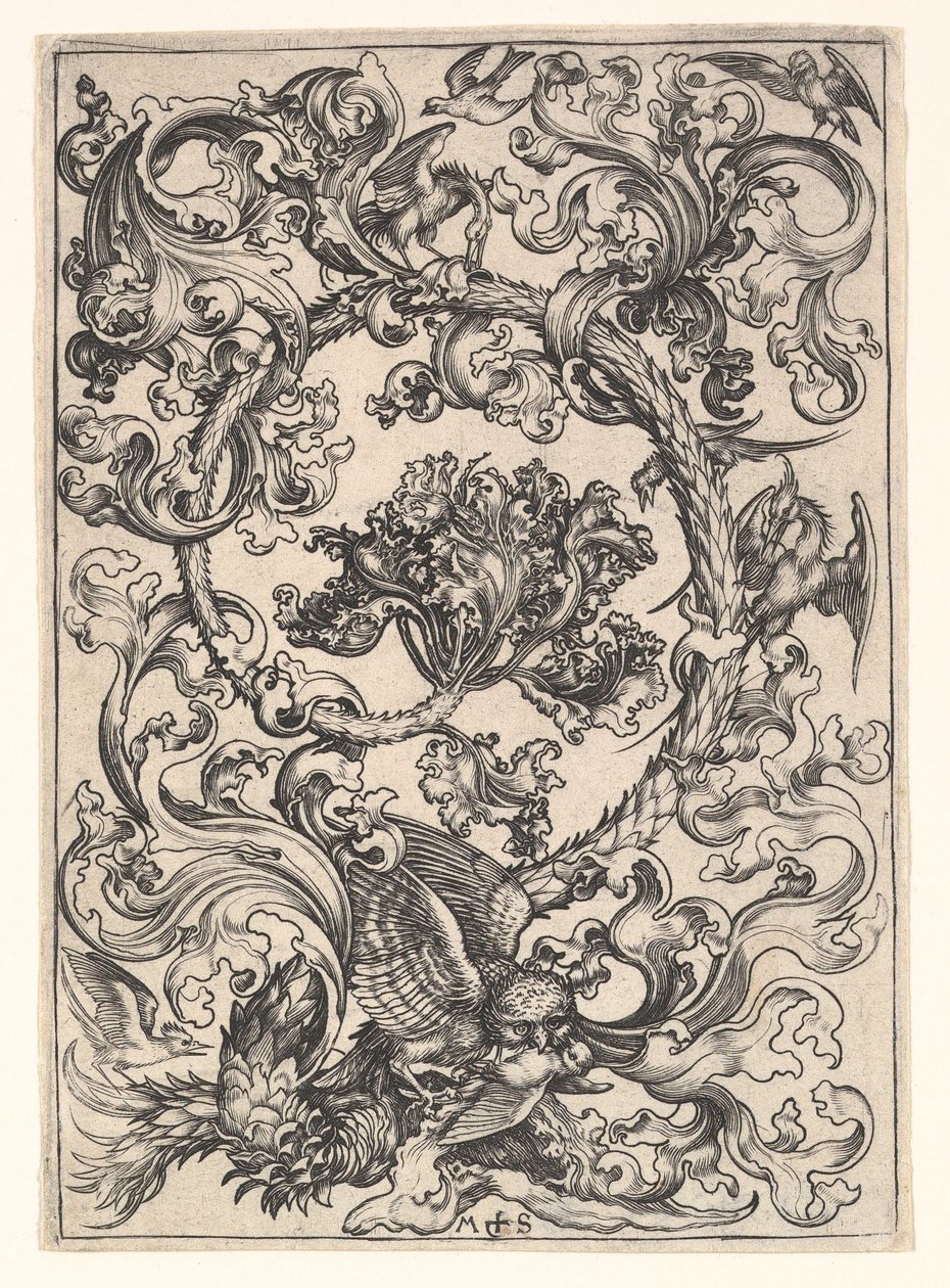 Ornamentti pöllöllä, jota päivälinnut pilkkaavat, n. 1435-1491. tekijältä Martin Schongauer