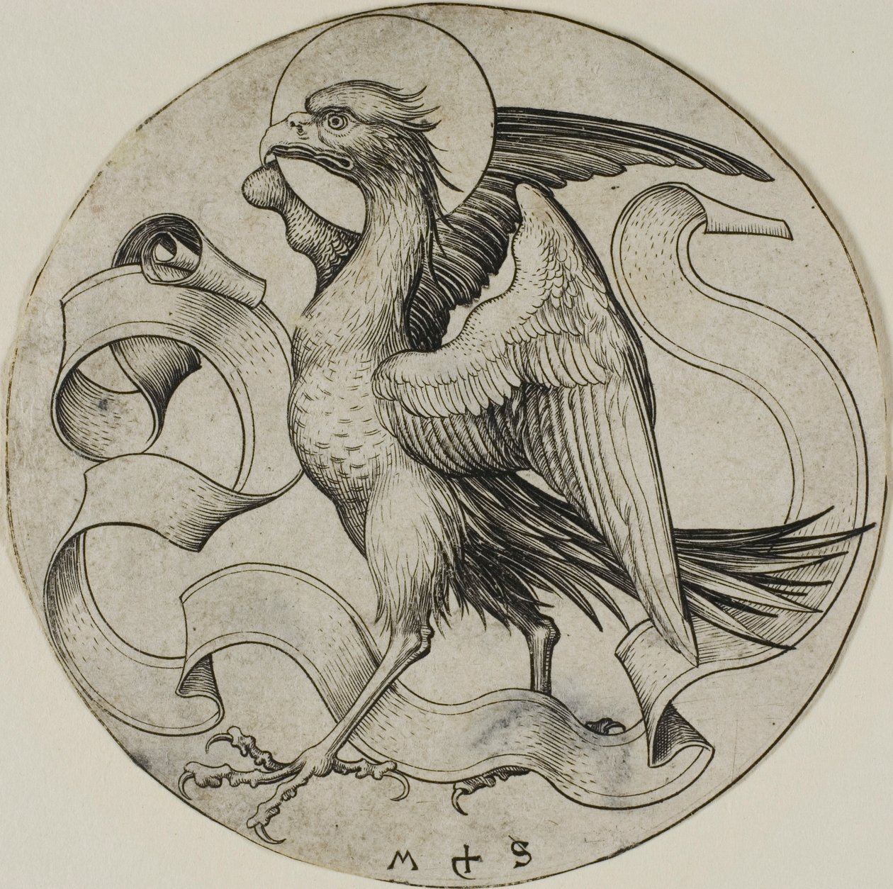 Pyhän Johanneksen kotka tekijältä Martin Schongauer