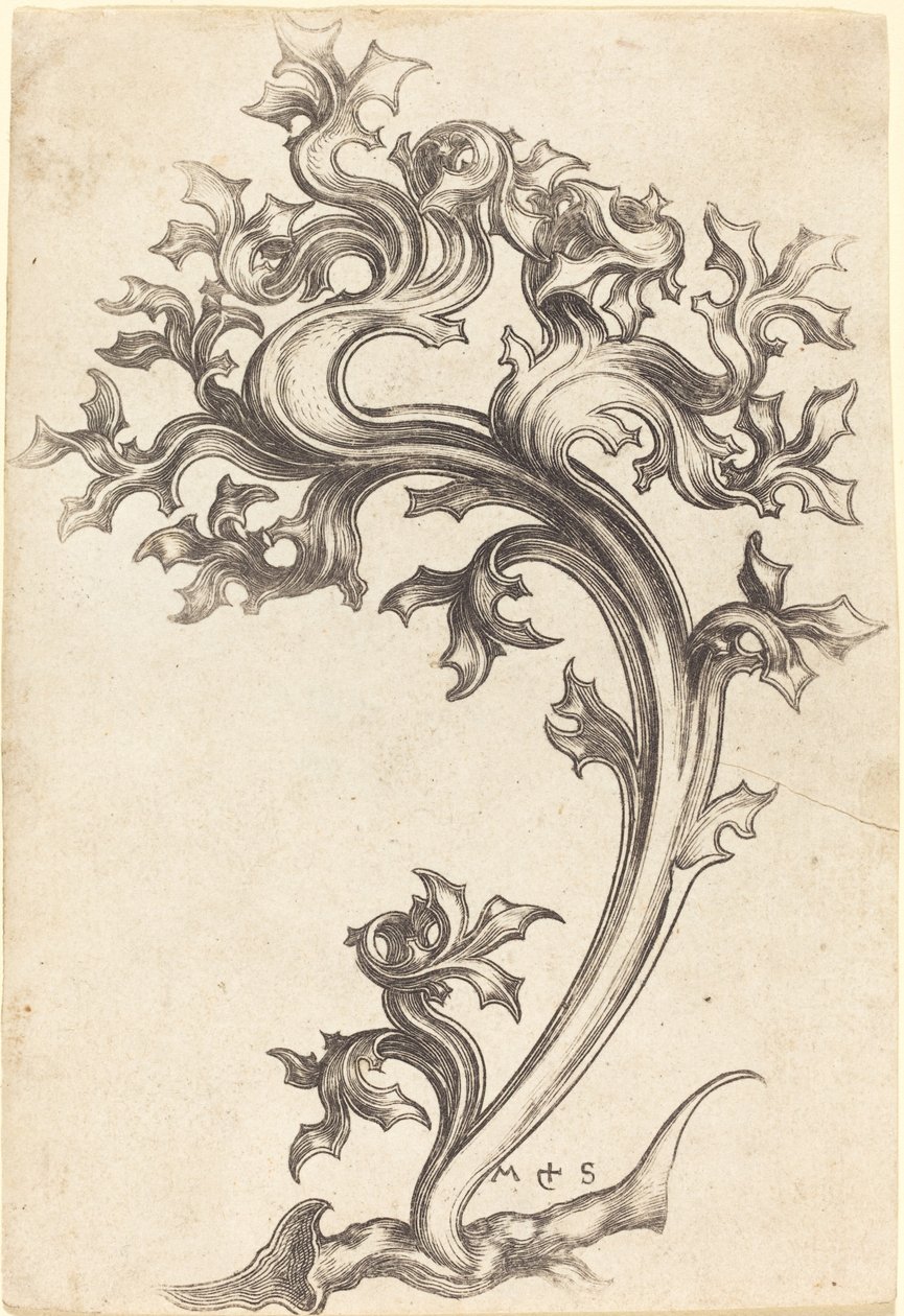 Ohdake-ornamentti tekijältä Martin Schongauer