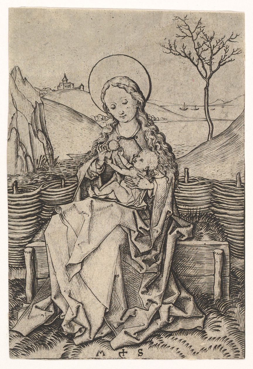 Neitsyt ja lapsi ruohopenkillä, n. 1435-1491. tekijältä Martin Schongauer