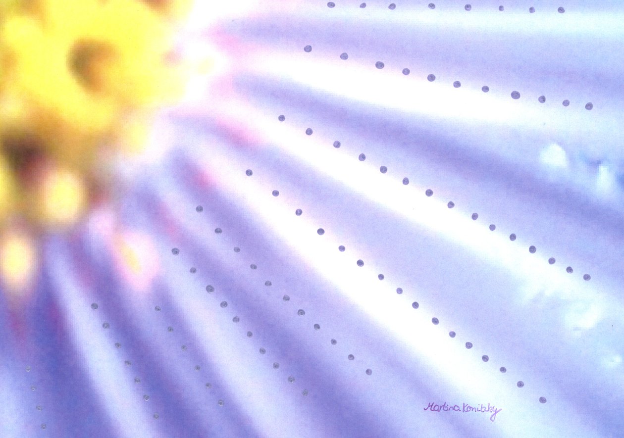 Blaue Blume tekijältä Martina Konitzky