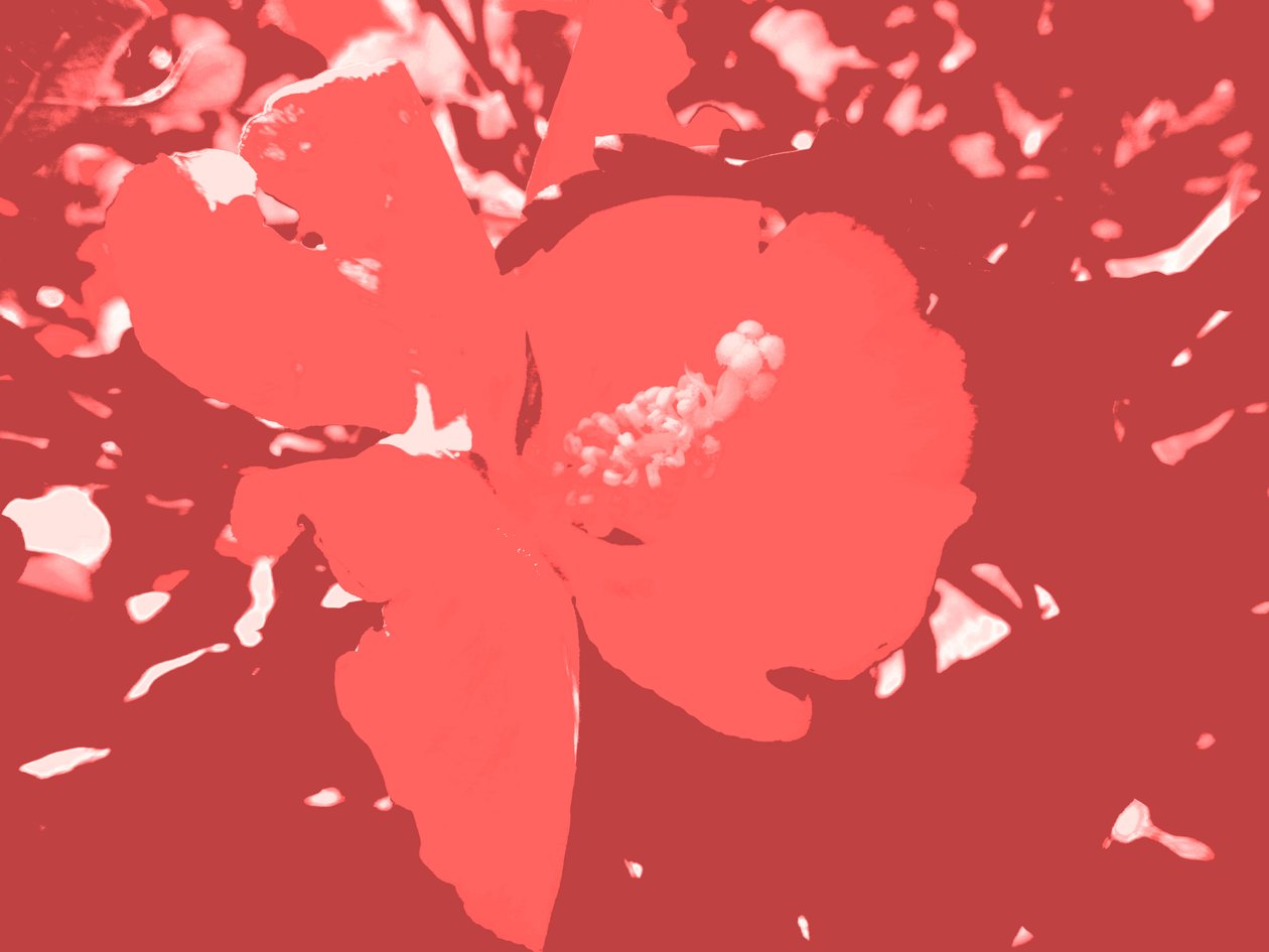 Blüte tekijältä Martina Konitzky