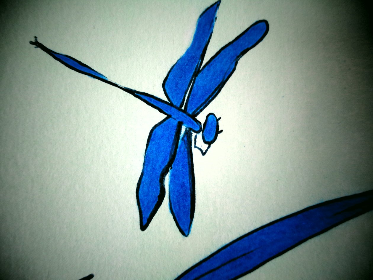 Dragonfly (yksityiskohta) tekijältä Martina Konitzky