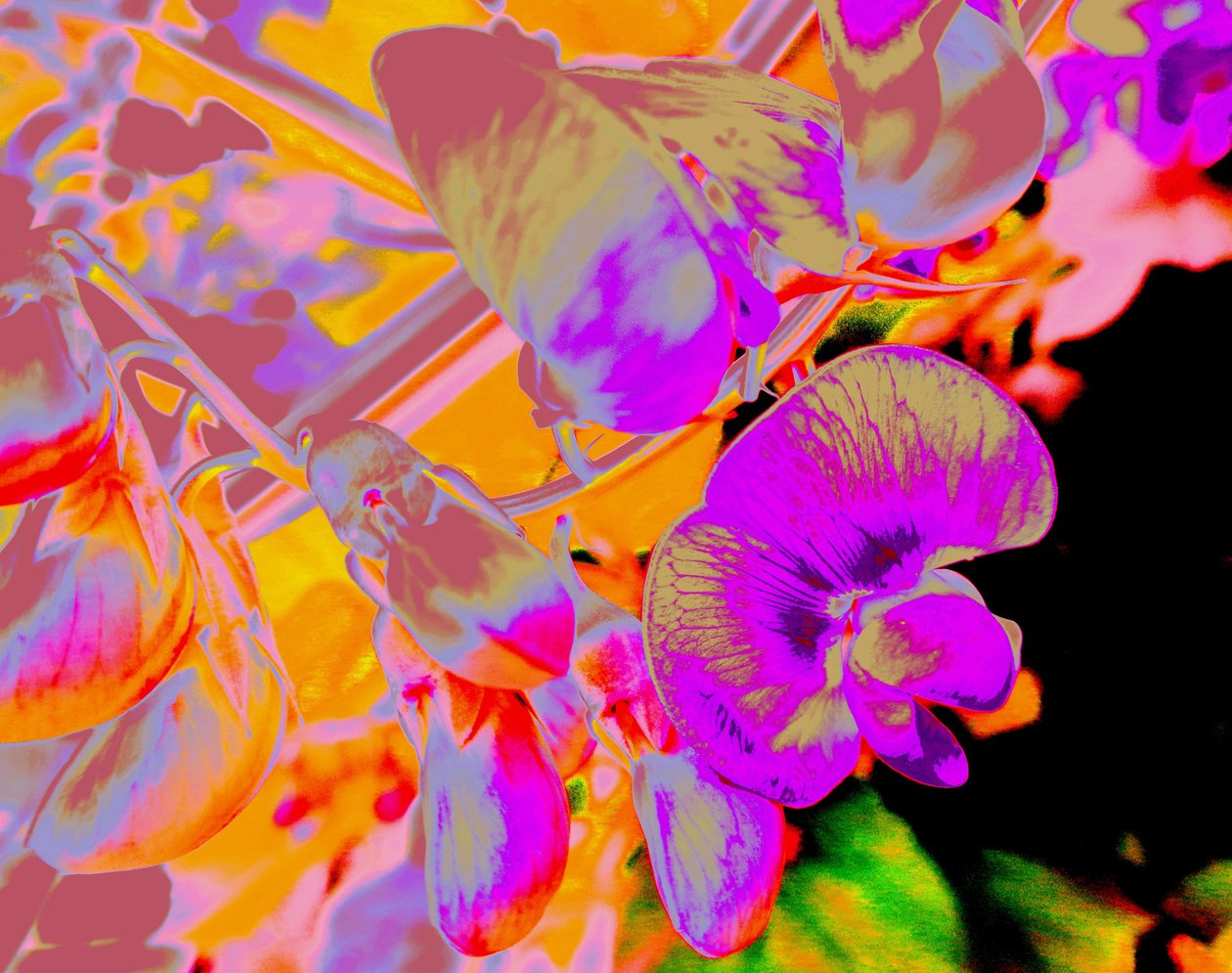 Sommerblumen tekijältä Martina Konitzky
