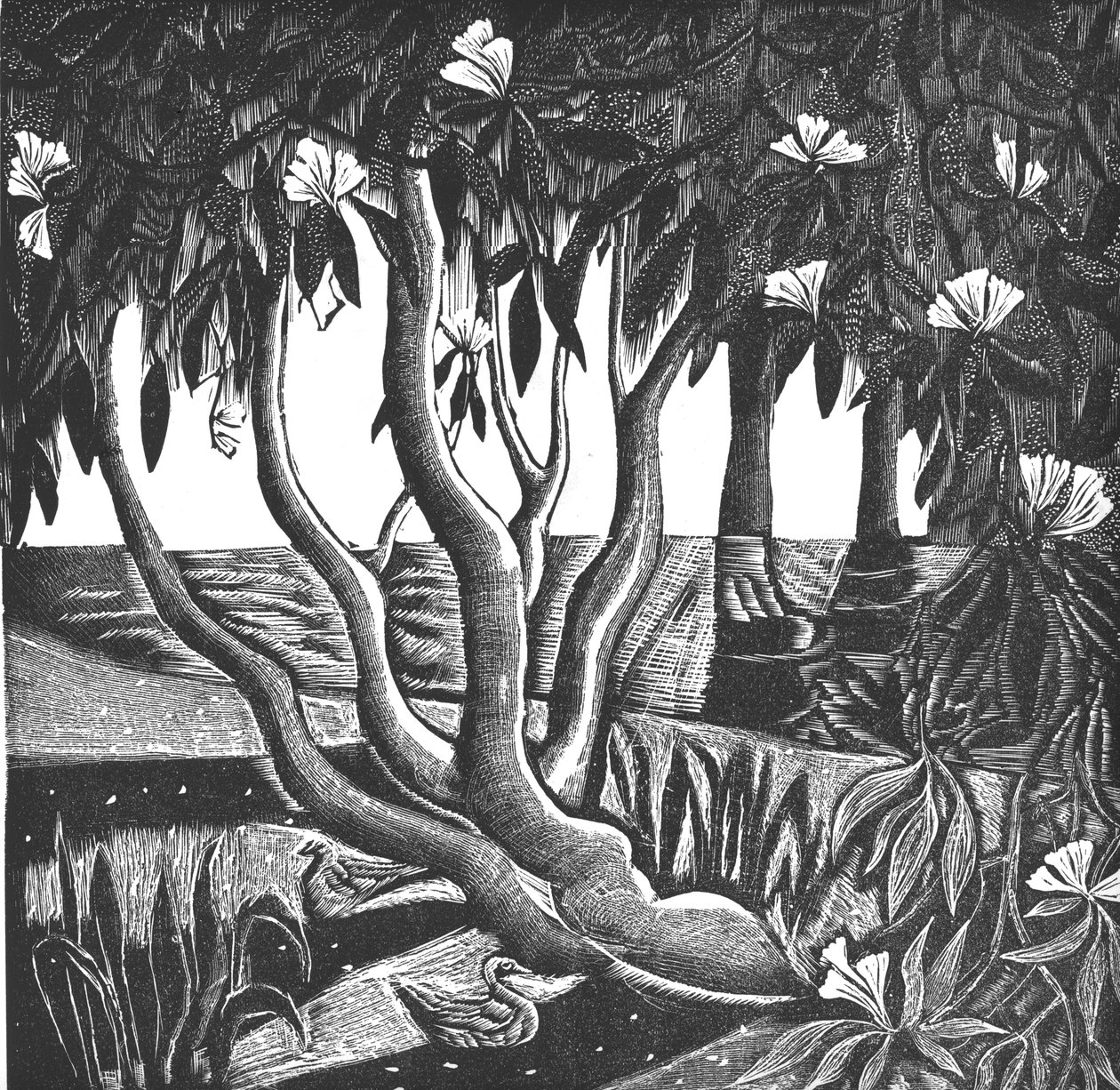 Rhododendrons, Holland Park, 2006 (vinyylikaiverrus) tekijältä Mary Kuper