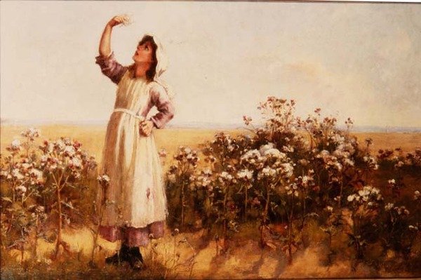 Thistledown tekijältä Mary Louise Breakell