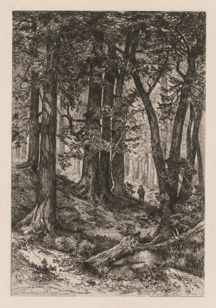 Kalifornian metsän sisustus Thomas Moranin amerikkalaisen mukaan, 1837-1926, 1888. tekijältä Mary Nimmo Moran