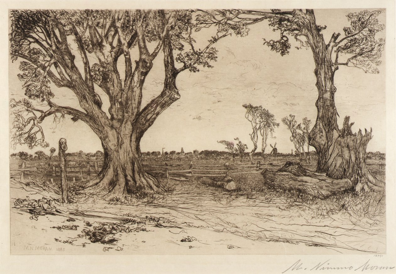 Old Lindens--Near Easthampton tekijältä Mary Nimmo Moran