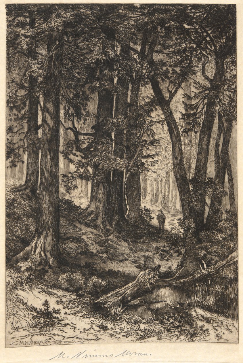 Sense títol (escena del bosc)finès tekijältä Mary Nimmo Moran