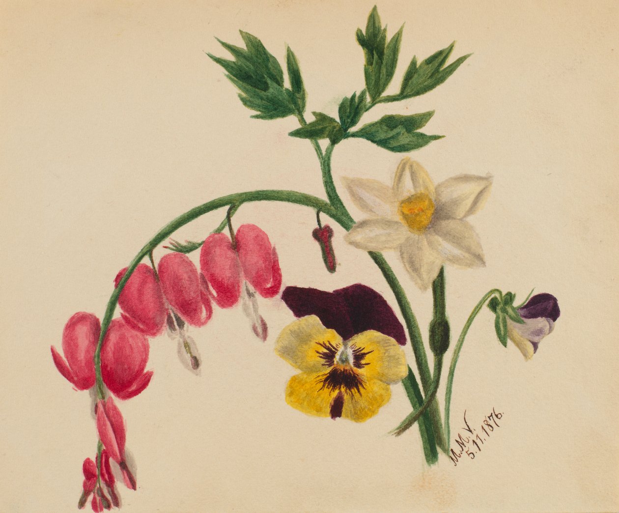 Nimetön - Sekakukkia, 1876. tekijältä Mary Vaux Walcott
