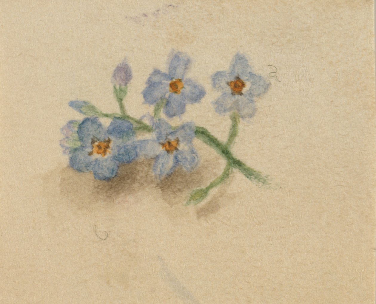 Nimetön, 1874. tekijältä Mary Vaux Walcott