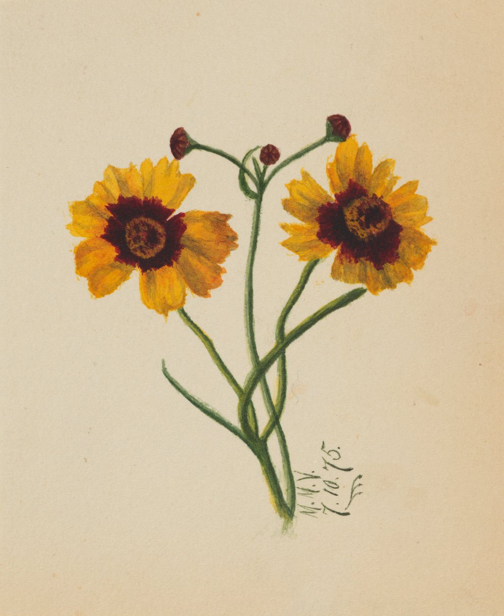 Nimetön, 1875. tekijältä Mary Vaux Walcott