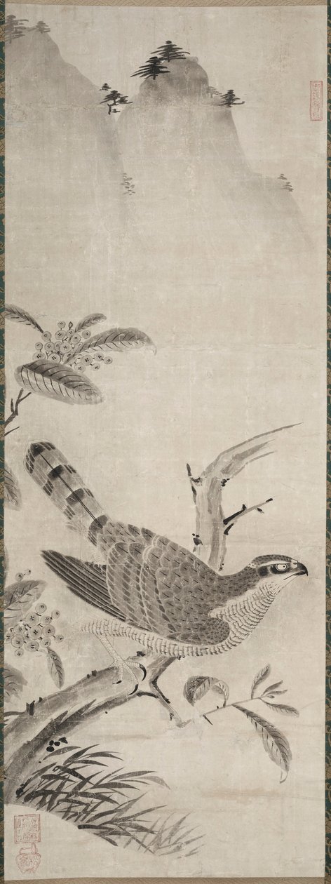 Hawk, 1500-luvun puoliväli. tekijältä Masayoshi Fujiwara