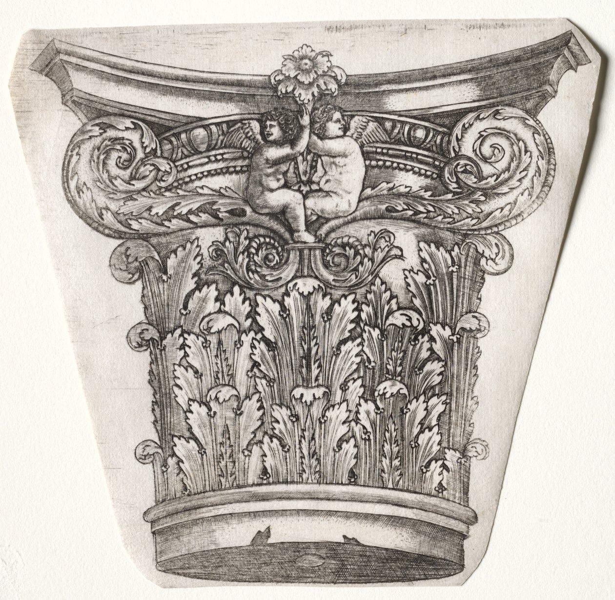 Base and Capital with Putti, n.1525-1550. tekijältä Master G. A. with the man