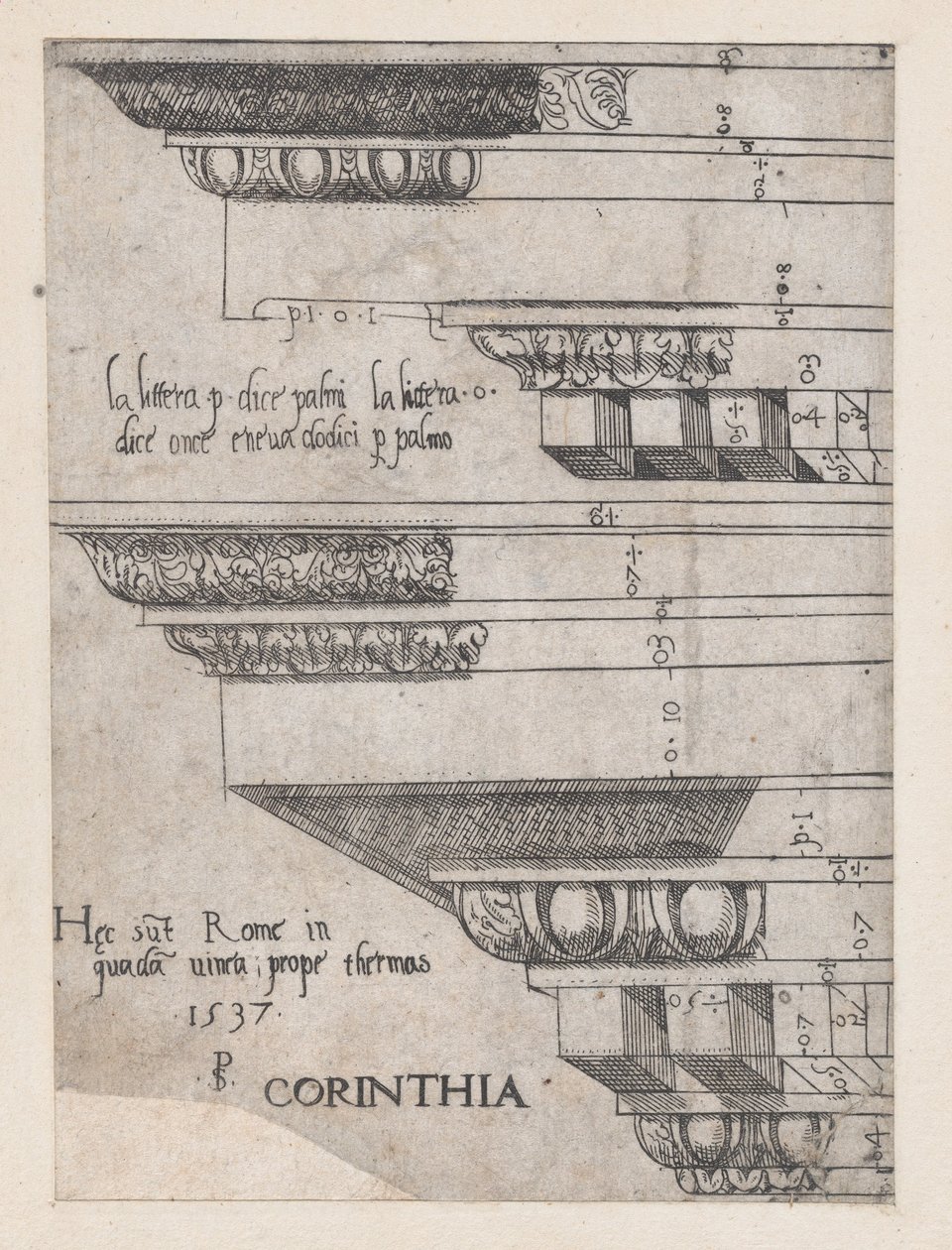 Rooman loiston peili: Korintin entablatuuri, 1537, 1537. tekijältä Master PS