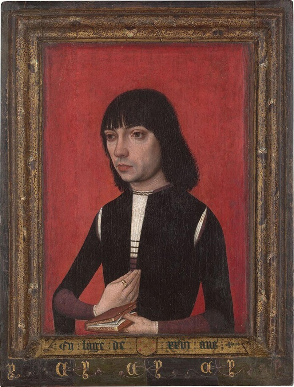 Hollanti: Muotokuva Fonsecan perheen nuoresta miehestä Muotokuva Fonsecan perheen nuoresta miehestä tekijältä Master of Portraits of Princes