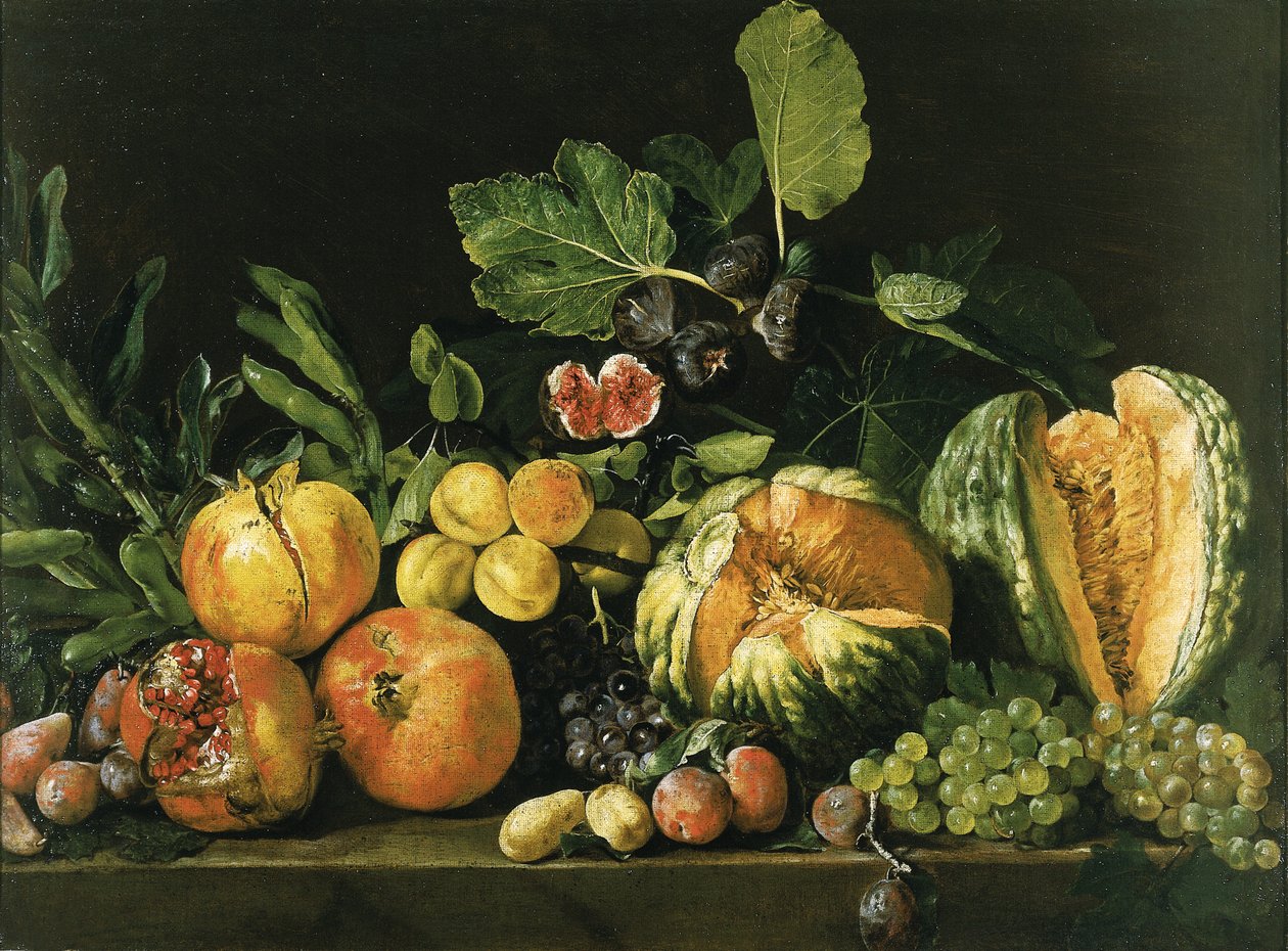 Granaattiomenia, melonit, viinirypäleet, persikat, viikunat ja muut hedelmät kivireunalla tekijältä Master of the Acquavella Still Life