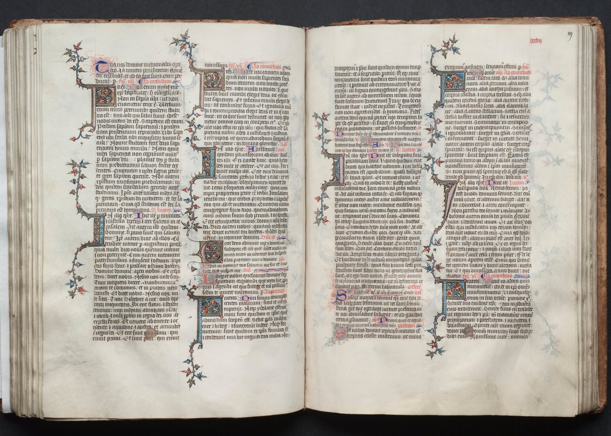 Gothan messali: Fol. 88v, teksti, c. 1375. tekijältä Master of the Boqueteaux