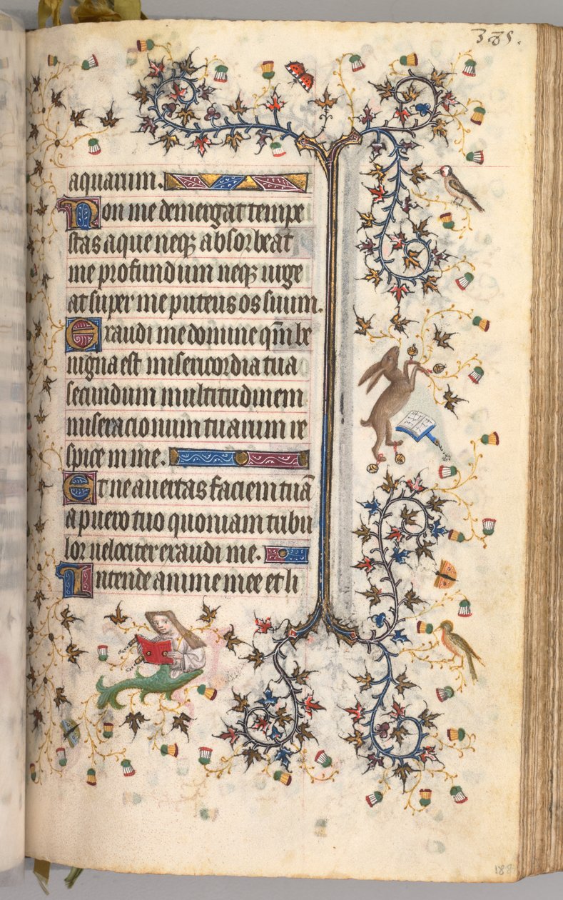 Kaarle Aatelisen, Navarran kuninkaan tunnit 1361-1425: fol. 188r, Teksti, c. 1405. tekijältä Master of the Brussels Initials and Associates