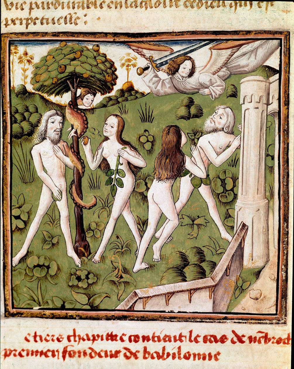 Aadam ja Eeva poimimassa naisten mestarin mestarin (1400-luku) puolustettua hedelmää Giovanni Boccaccion (Jean Boccaccio) (1313-1375) käsikirjoituksesta "" Des hommes illustres"". 15-luvulla. Carpentras. Inguimbertinen kirjasto tekijältä Master of the Champion des Dames
