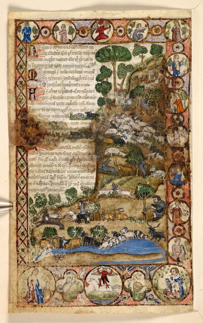 Lisätä. 28841, f.1v: Geometriset koko sivun reunukset rombideista, pyöreistä ja nelikantaisista eläimistä ja kuvitteellisista kohtauksista: Paimenet vartioivat lampaita ja vuohia ja taistelevat susia vastaan, punainen paholainen seisomassa hevosen selässä  tekijältä Master of the Cocharelli Codex