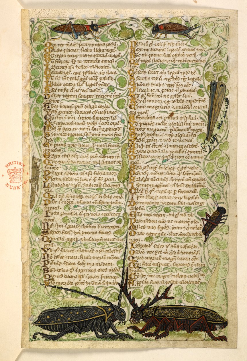 Lisätä. 28841, f.2: Sarvikuoriaiset, sirkat ja locus.  Tutkielma hyveistä ja paheista sekä Sisilian anonyymi proosahistoria (katkelma)  Cocharelli tekijältä Master of the Cocharelli Codex