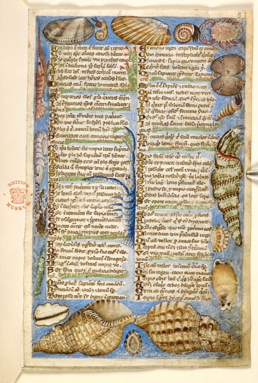 Lisätä. 28841, f.5: Simpukat ja merelliset eläimet, Hyveistä ja paheista käsitellystä traktaatista ja Sisilian nimettömästä proosahistoriasta (fragmentti), n. 1330-40 (vellum) tekijältä Master of the Cocharelli Codex