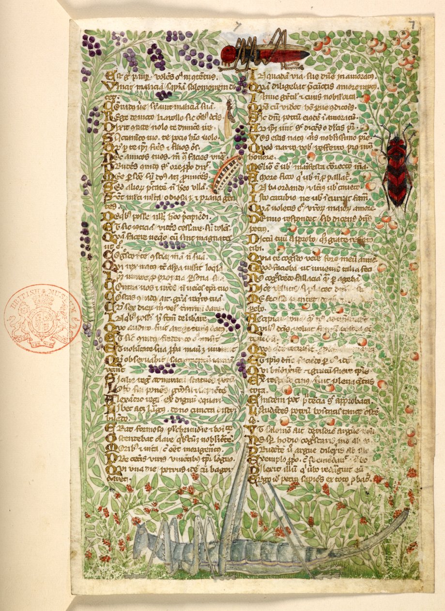 Lisätä. 28841, f.7, Kukat, hedelmät ja hyönteiset, mukaan lukien heinäsirkka ja heinäsirkka, tutkielmasta hyveistä ja paheista ja nimettömästä Sisilian proosahistoriasta (katkelma) tekijältä Master of the Cocharelli Codex