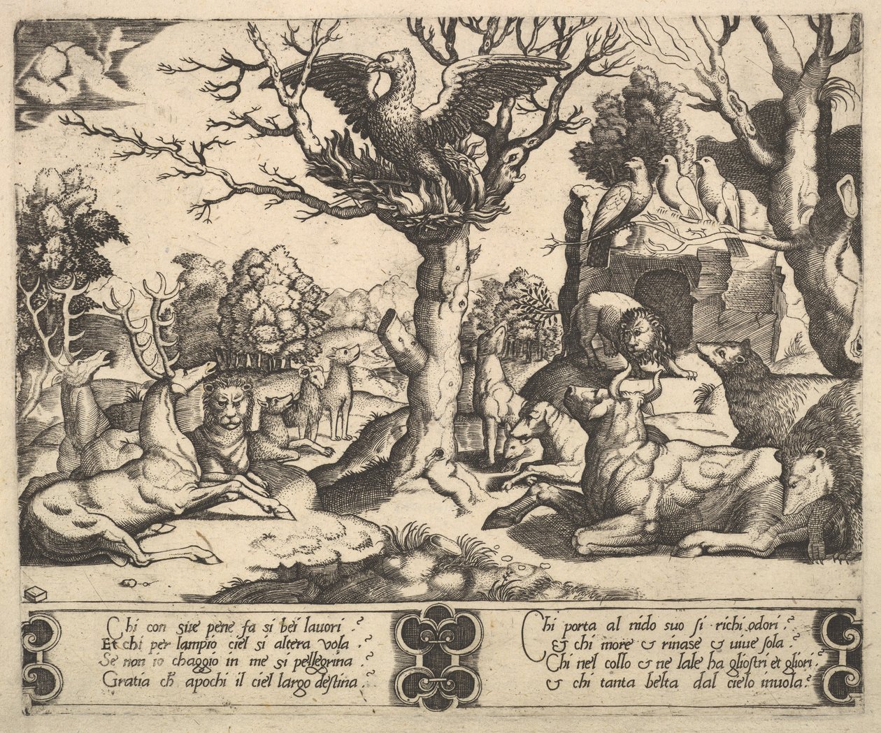 Feeniksi istui puun huipulla, siivet auki, lajitelma eläimiä alla, 1530-60. tekijältä Master of the Die