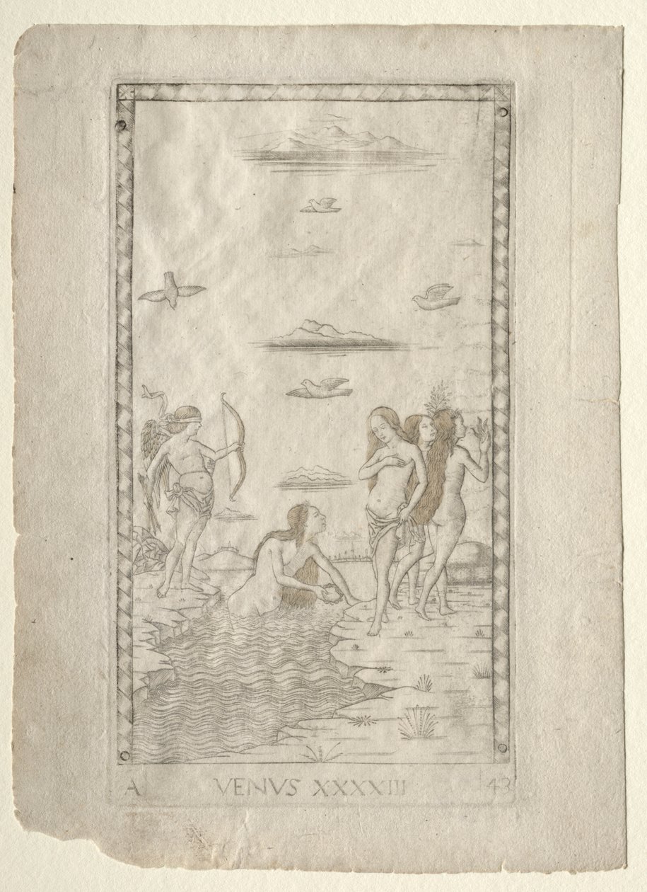Venus Tarocchista, sarja A: Firmaments of the Universe, #43, ennen vuotta 1467. tekijältä Master of the E Series Tarocchi