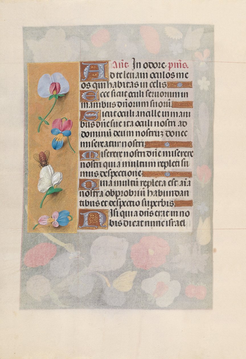 Kuningatar Isabella Katolisen, Espanjan kuningatar: Fol. 137v, c. 1500. tekijältä Master of the First Prayerbook of Maximillian