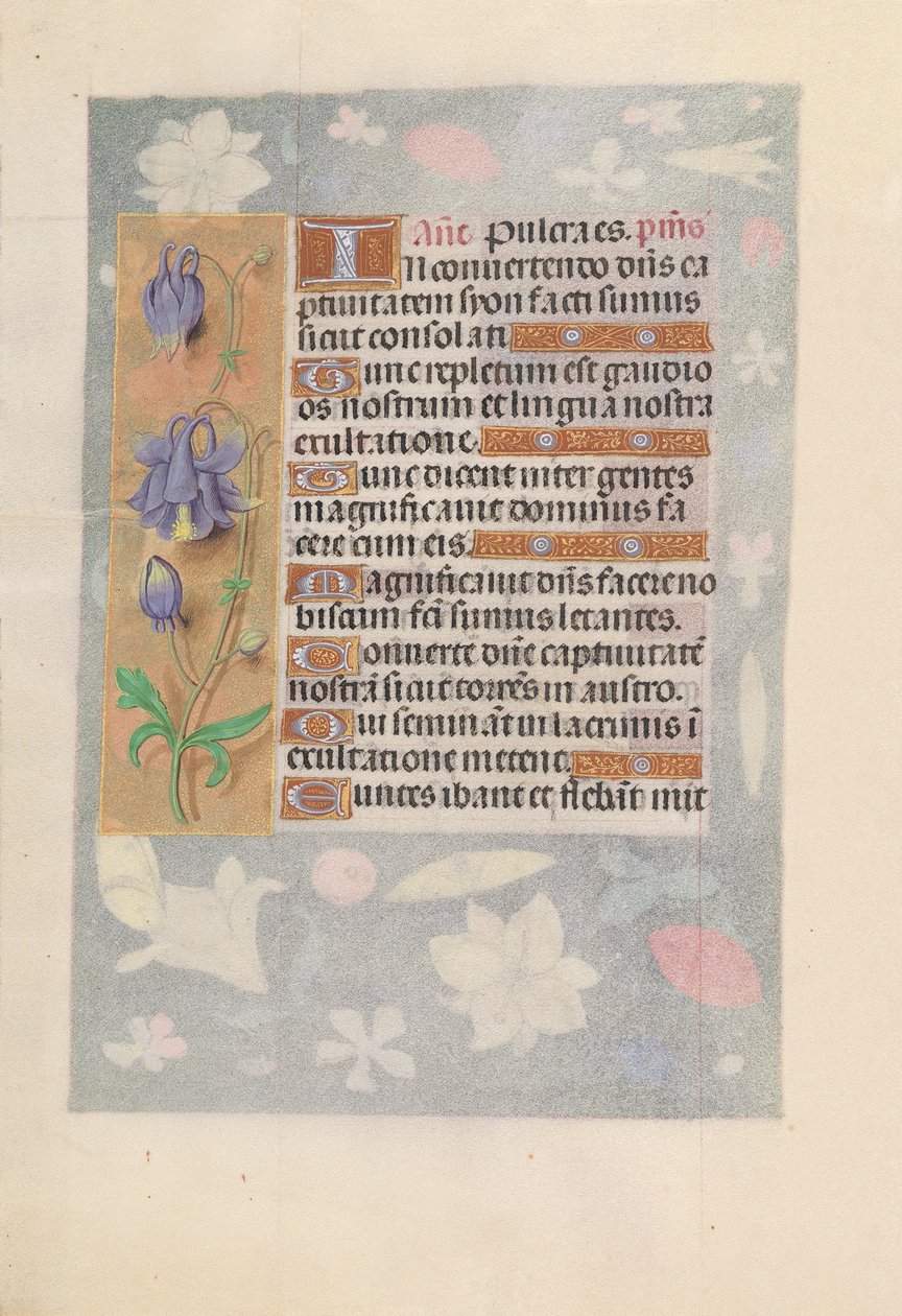 Kuningatar Isabella Katolisen, Espanjan kuningatar: Fol. 142v, c. 1500. tekijältä Master of the First Prayerbook of Maximillian