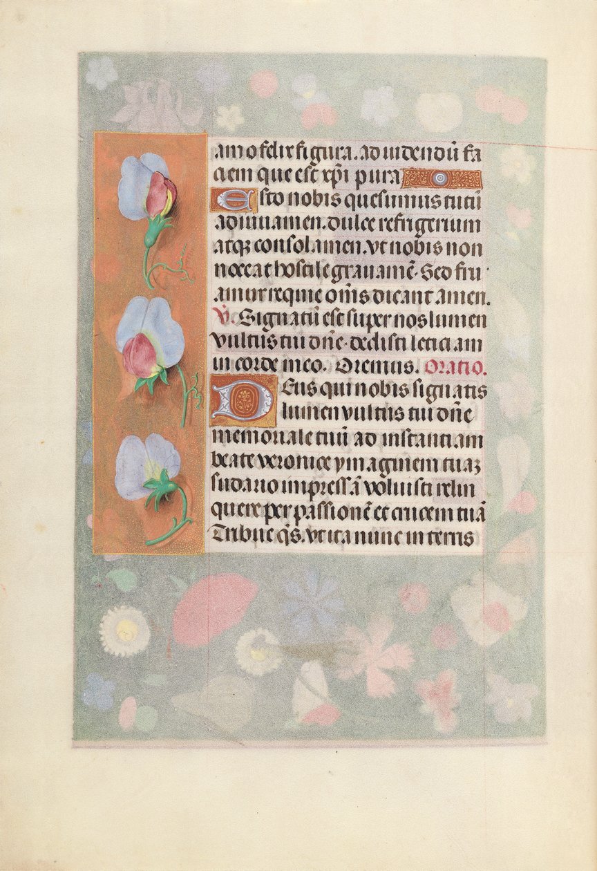 Kuningatar Isabella Katolisen, Espanjan kuningatar: Fol. 15v, c. 1500. tekijältä Master of the First Prayerbook of Maximillian